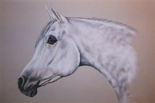 horse2