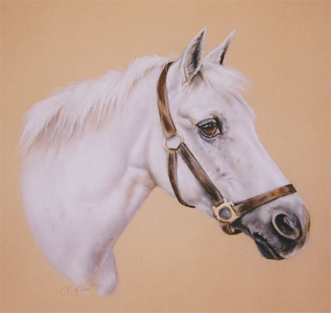 horse8