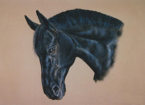 horse9